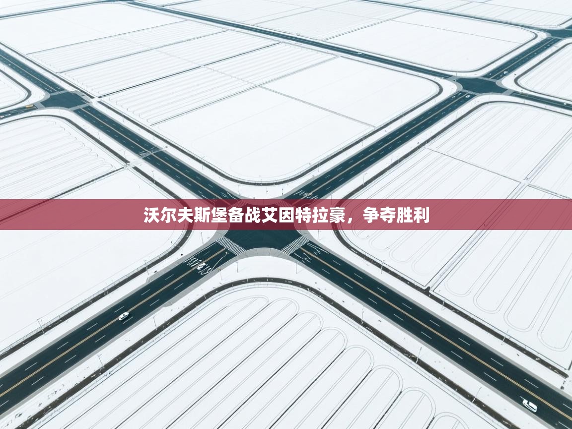 沃尔夫斯堡备战艾因特拉豪，争夺胜利  第2张