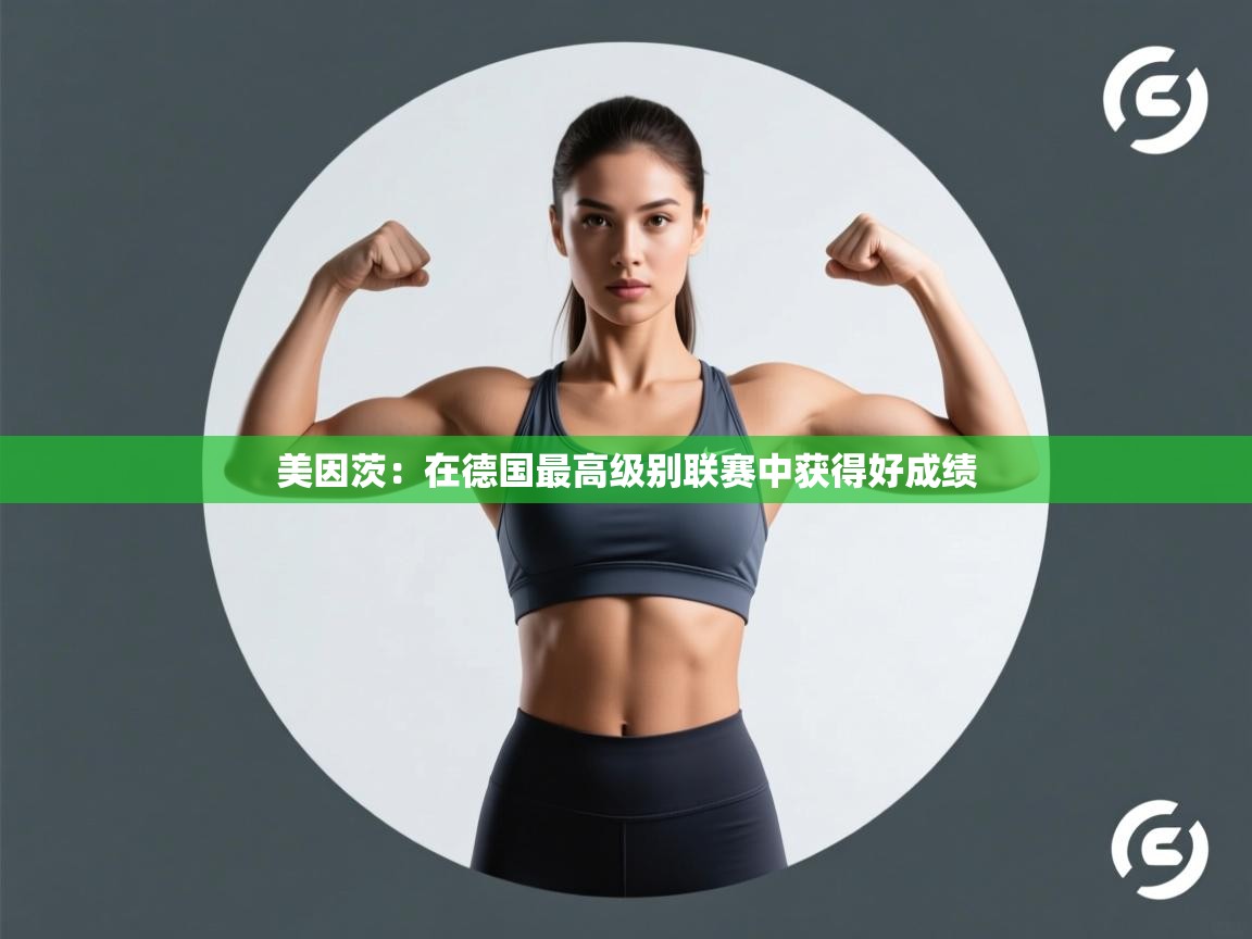 美因茨：在德国最高级别联赛中获得好成绩  第2张